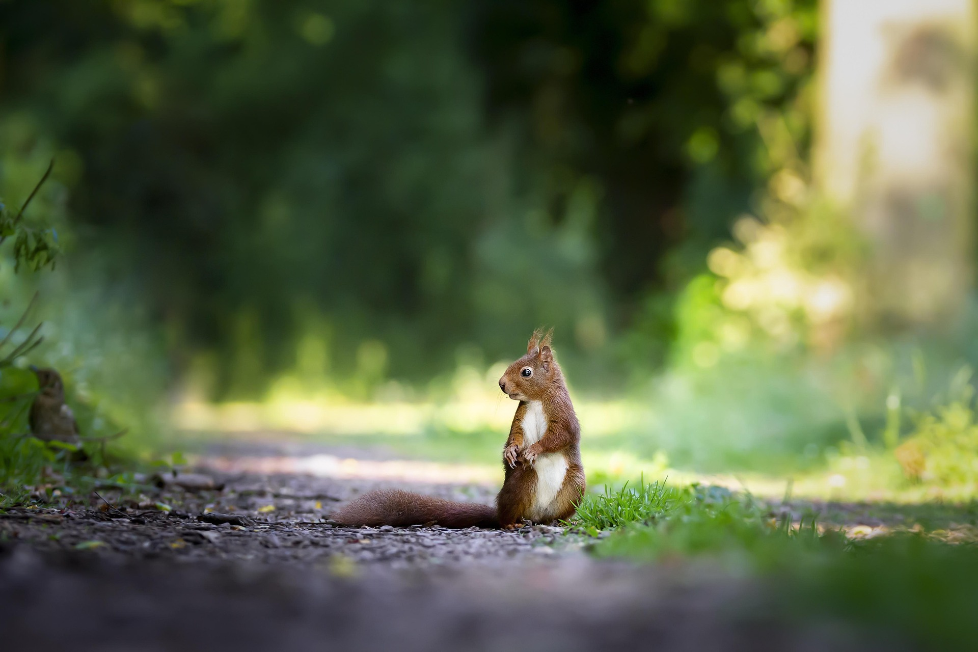 Overcoming Distractions to Stay Focused